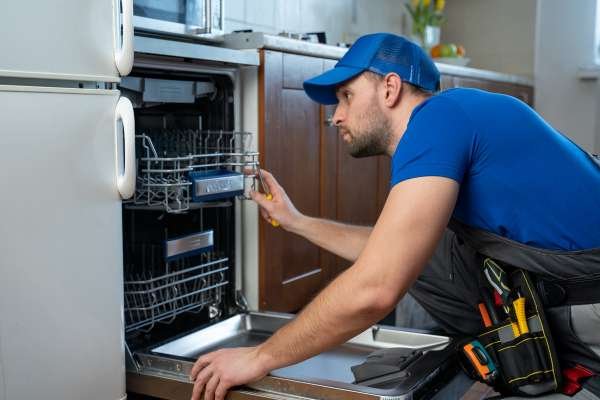 Kitchen Cabinets With Dishwasher
